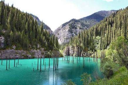 La Foresta di Bianhua: Una Meraviglia Nascosta nella Città di Yichun!