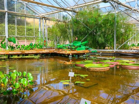 Le Jardins Suspendu di Haguenau: Un Giardino Incantato tra le Nuvole!