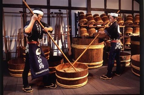 Il Museo del Sake Hakutsuru: Immersione nella Storia e Degustazione di Delizie Fermentate!