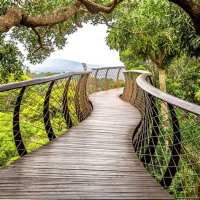  Il Giardino Botanico di Kirstenbosch: Un'Oasi Verde Immerse nella Storia!