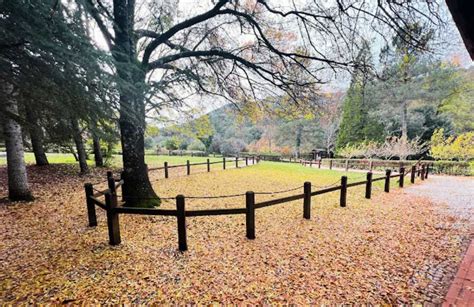  Il Giardino Botanico di Yichun: Un'Oasi Verde di Tranquillità e Scoperta Biologica!