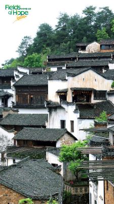  Il Lago Wuyuan: Un gioiello nascosto tra le montagne e una finestra sull'anima di Yichun!