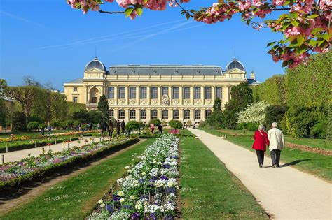  Le Jardin des Plantes: Un'Oasi di Biodiversity e Storia nella Cuore di Parigi!